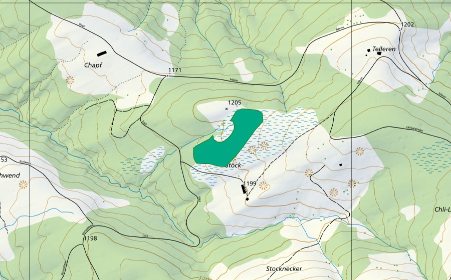 Carte nationale swisstopo avec le périmètre protégé de Moore zwischen Alp Stöck und Gschwend (Bas-marais)