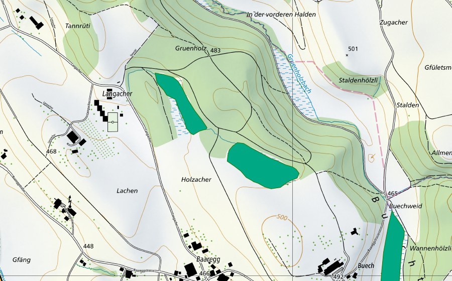 swisstopo national map showing the protected perimeter of Moos südlich Grünholz (Fen)
