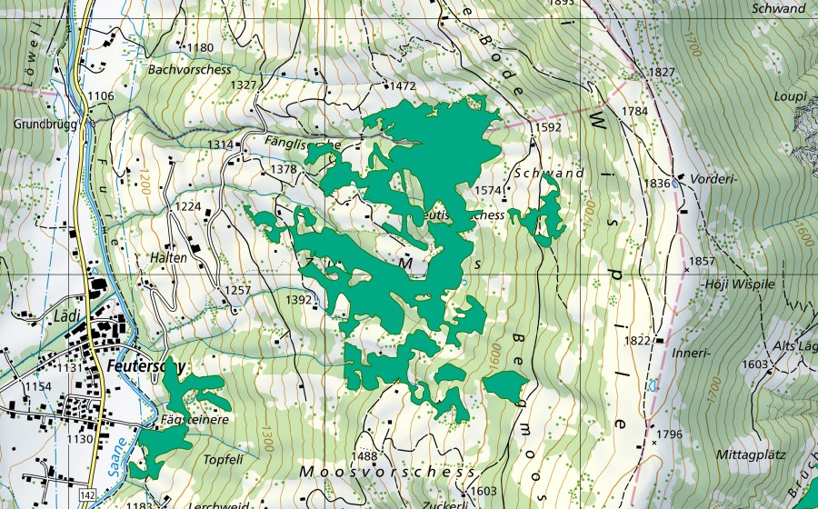 Carte nationale swisstopo avec le périmètre protégé de Moos (Bas-marais)