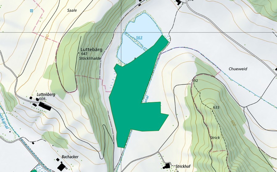 Landeskarte swisstopo mit dem Schutzperimeter von Mooswangen (Flachmoor)