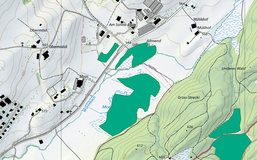 Landeskarte swisstopo mit dem Schutzperimeter von Moosweiher (Flachmoor)