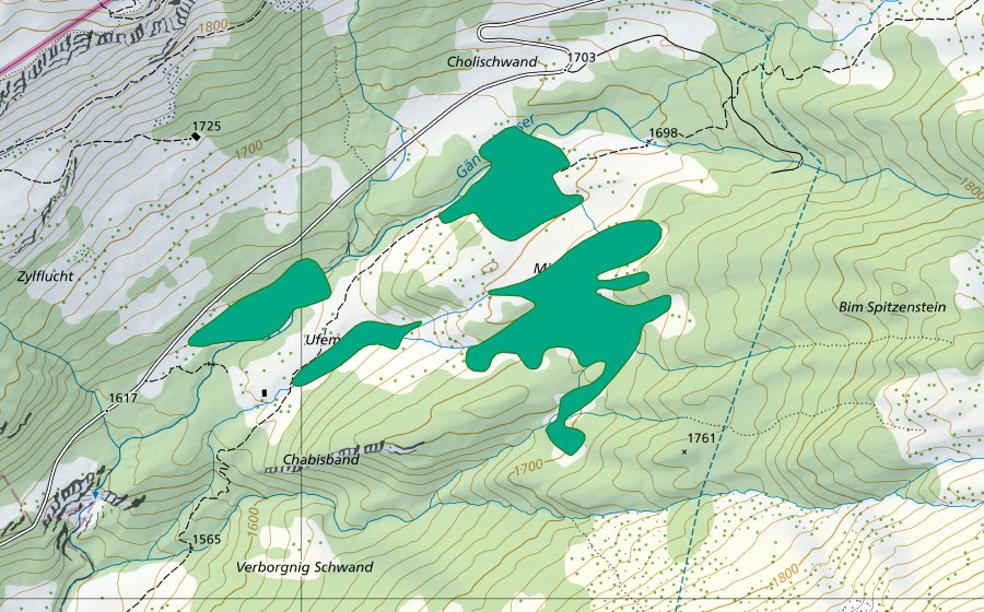 Landeskarte swisstopo mit dem Schutzperimeter von Möser (Flachmoor)