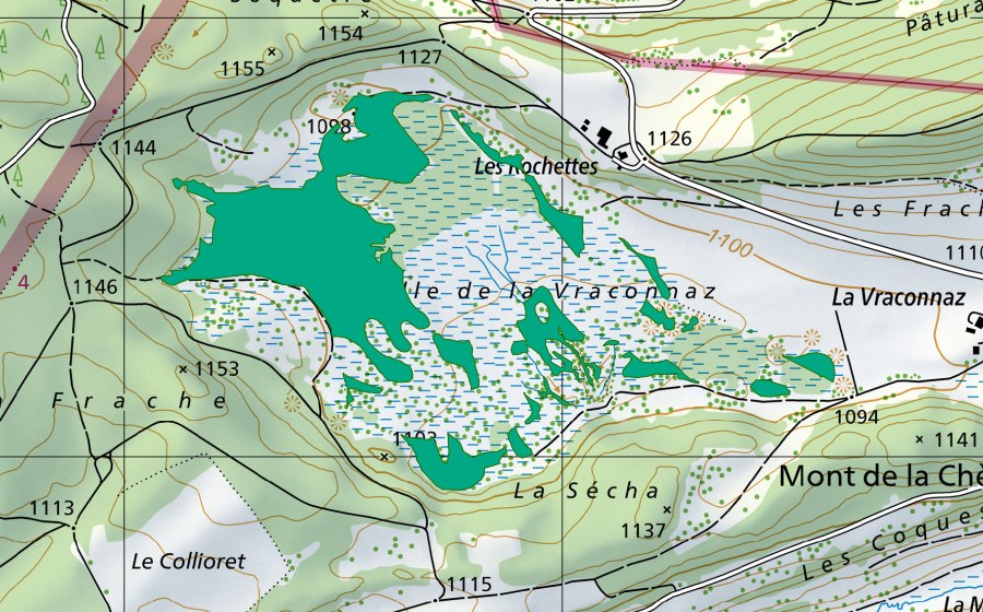 swisstopo national map showing the protected perimeter of Mouille de la Vraconnaz (Fen)