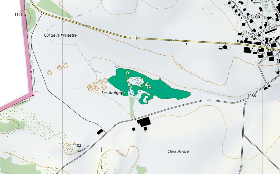 swisstopo national map showing the protected perimeter of Mouille des Creux (Fen)