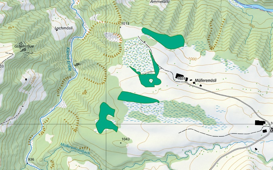 Carte nationale swisstopo avec le périmètre protégé de Müllerenmösli (Bas-marais)
