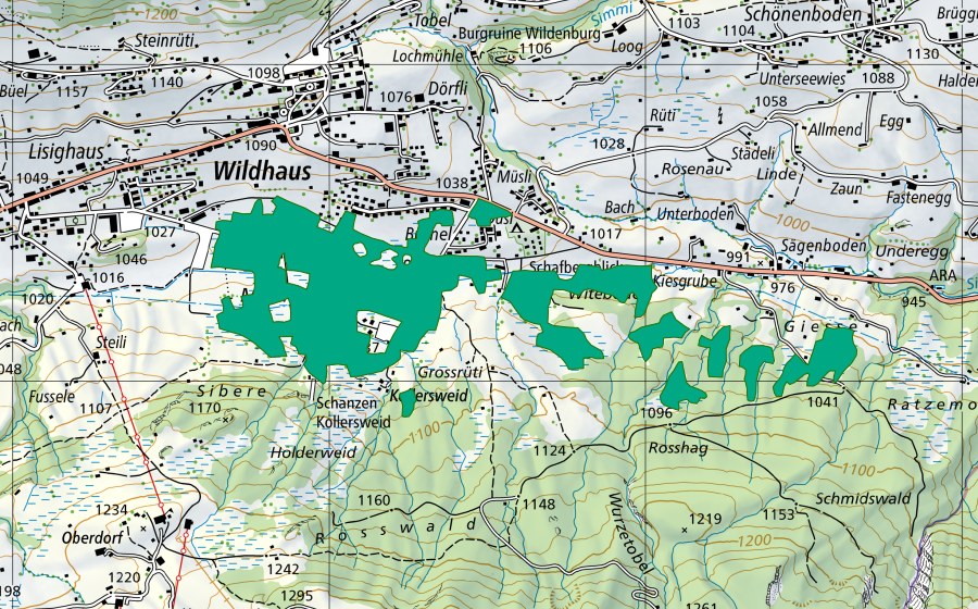 Landeskarte swisstopo mit dem Schutzperimeter von Munzenriet (Flachmoor)