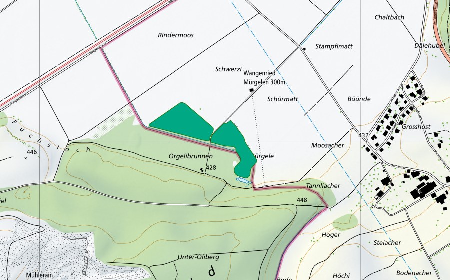 Landeskarte swisstopo mit dem Schutzperimeter von Mürgele (Flachmoor)