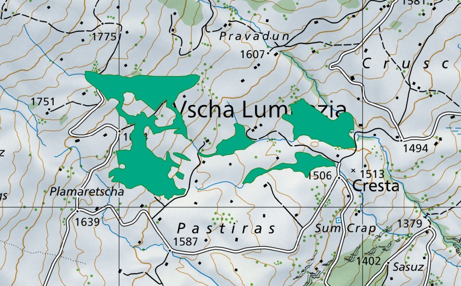Landeskarte swisstopo mit dem Schutzperimeter von Murtes (Flachmoor)