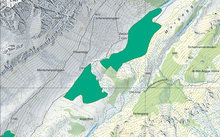 Carte nationale swisstopo avec le périmètre protégé de Mürtschen (Bas-marais)