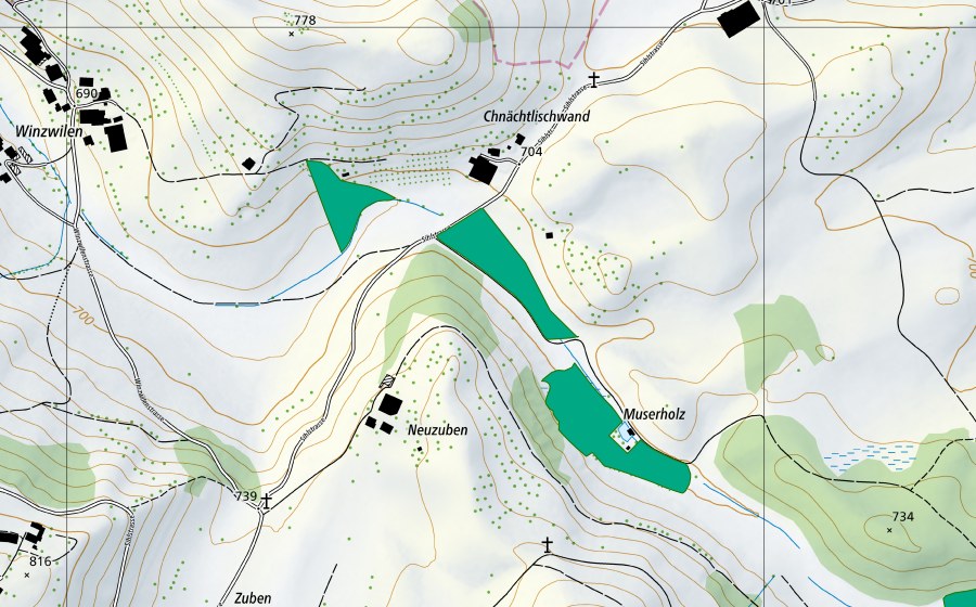 Landeskarte swisstopo mit dem Schutzperimeter von Muserholz (Flachmoor)