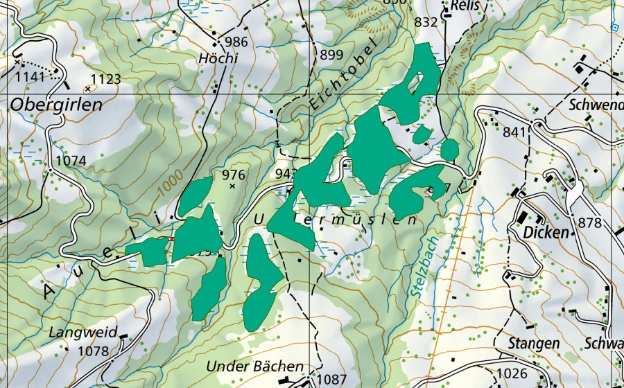 Landeskarte swisstopo mit dem Schutzperimeter von Müslen (Flachmoor)