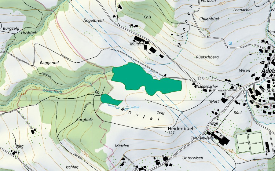 Carte nationale swisstopo avec le périmètre protégé de Näppenacher (Bas-marais)