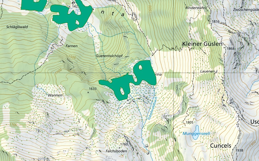 swisstopo national map showing the protected perimeter of Naserina (Fen)