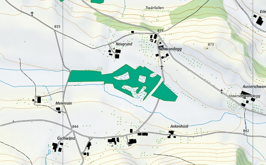 Landeskarte swisstopo mit dem Schutzperimeter von Neugrundmoor (Flachmoor)
