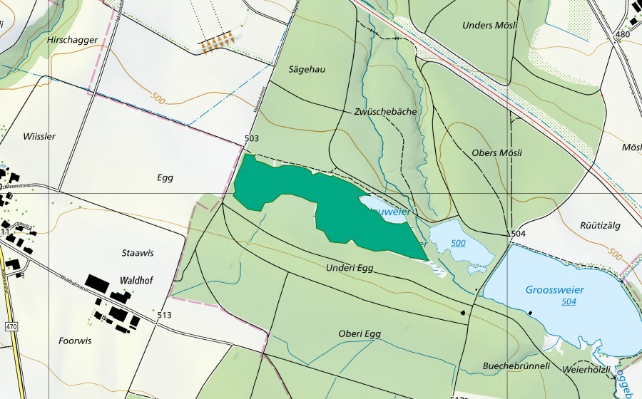 Landeskarte swisstopo mit dem Schutzperimeter von Neuweier (Flachmoor)