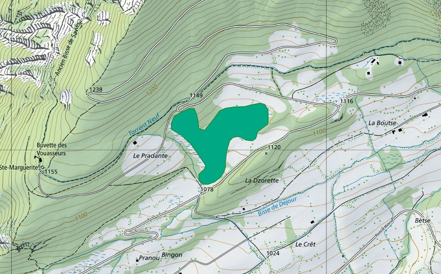 Landeskarte swisstopo mit dem Schutzperimeter von Ninda (Flachmoor)