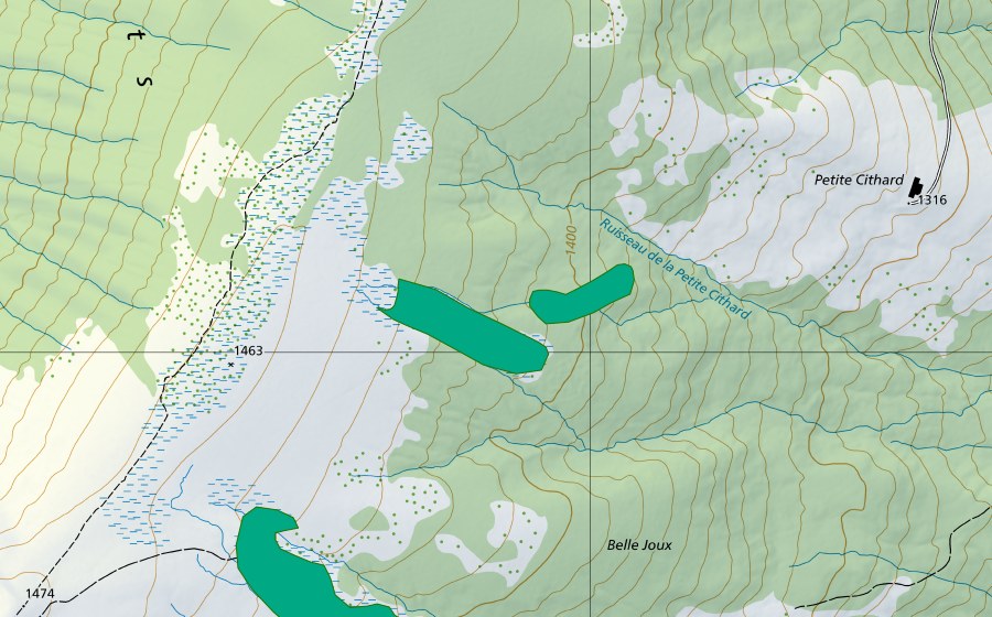 Carta nazionale swisstopo con il perimetro protetto di Niremont, arête nord (Torbiera bassa)
