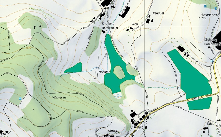 Carte nationale swisstopo avec le périmètre protégé de Nördli Riet (Bas-marais)