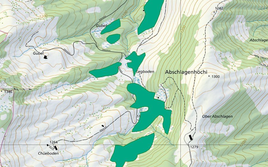 Landeskarte swisstopo mit dem Schutzperimeter von Nordöstlich Chüeboden (Flachmoor)