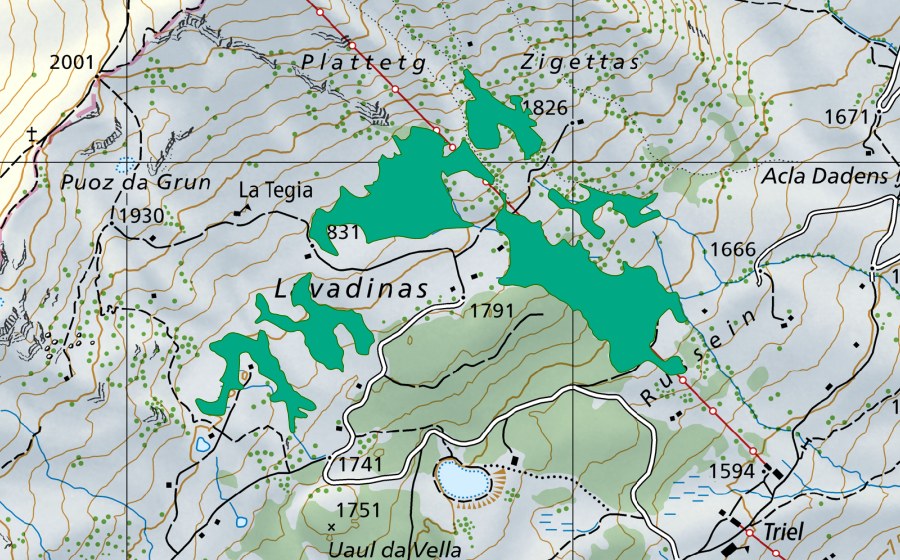 Landeskarte swisstopo mit dem Schutzperimeter von Nordöstlich Lavadinas (Flachmoor)