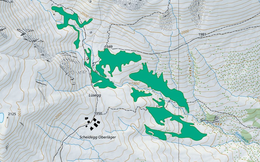 swisstopo national map showing the protected perimeter of Nordöstlich Oberläger (Fen)