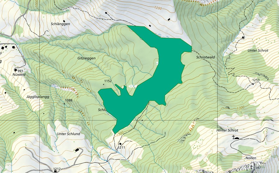 Carte nationale swisstopo avec le périmètre protégé de Nordöstlich Schlund (Bas-marais)