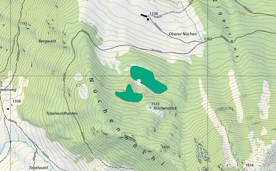 Carte nationale swisstopo avec le périmètre protégé de Nüchenstöck (Bas-marais)