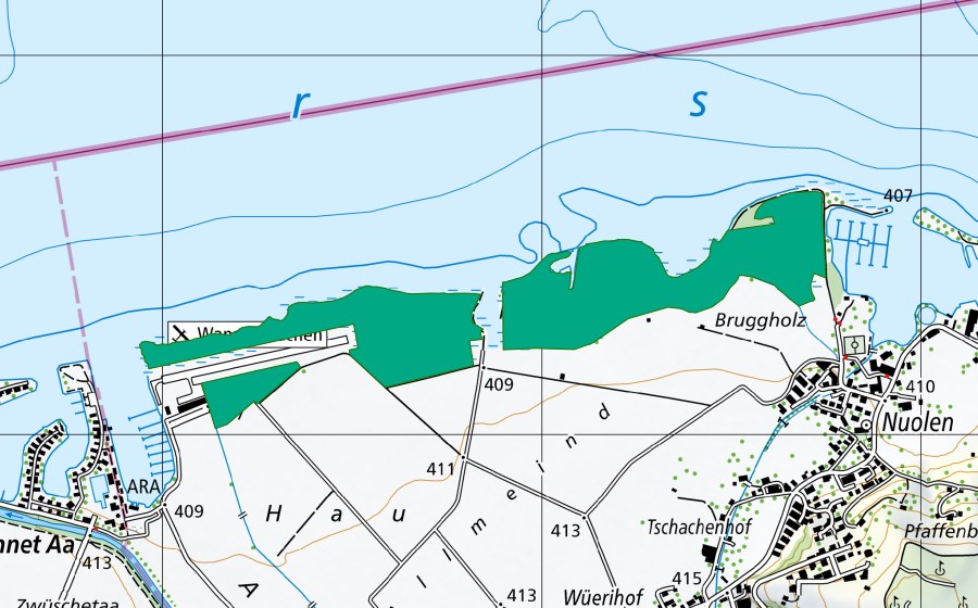 swisstopo national map showing the protected perimeter of Nuoler Ried (Fen)