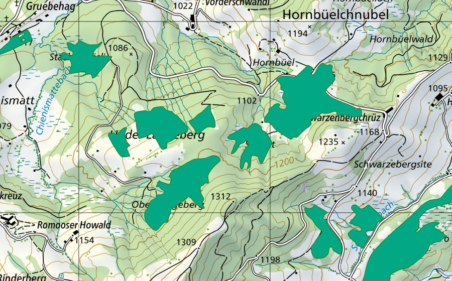 swisstopo national map showing the protected perimeter of Ober-Längenberg (Fen)