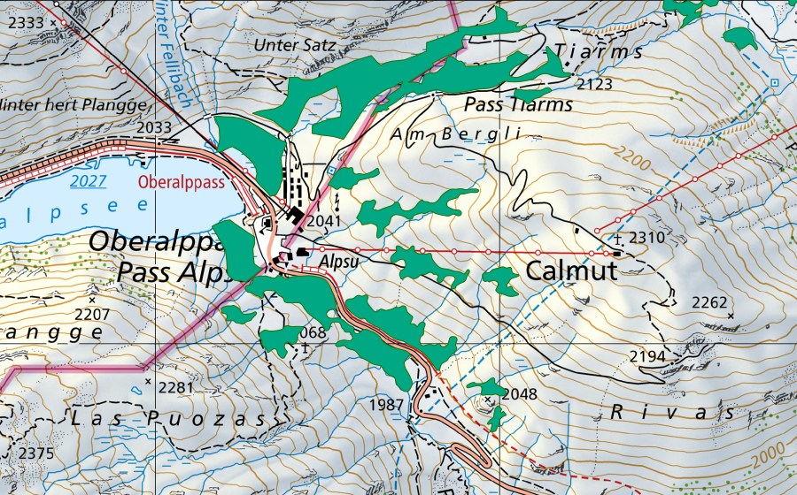 Landeskarte swisstopo mit dem Schutzperimeter von Oberalppass (Flachmoor)