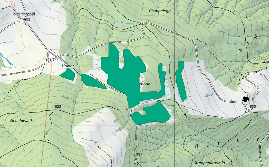 swisstopo national map showing the protected perimeter of Oberer Fischerenboden (Fen)