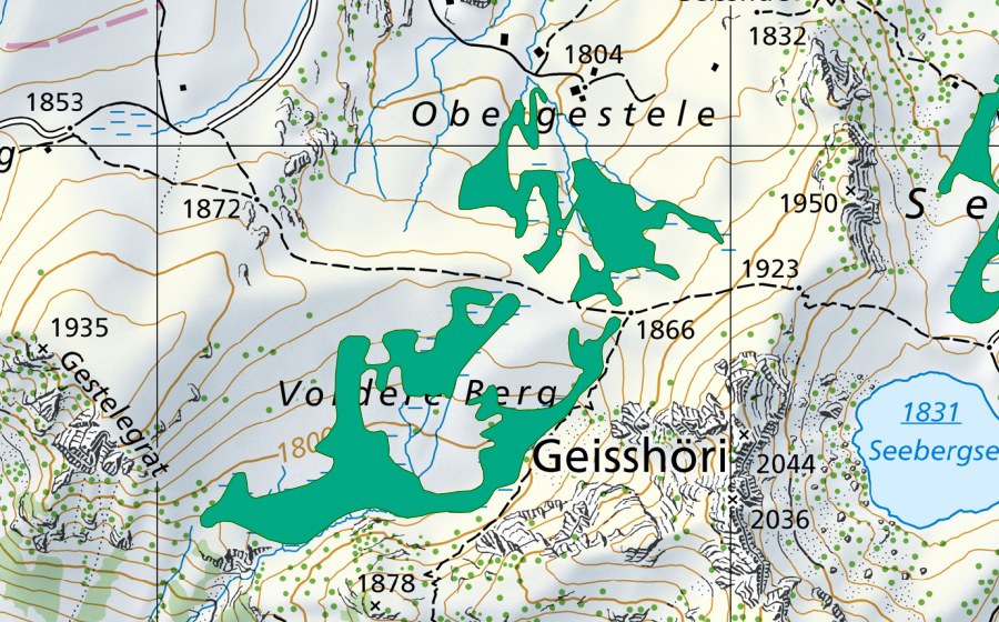 swisstopo national map showing the protected perimeter of Obergestele (Fen)
