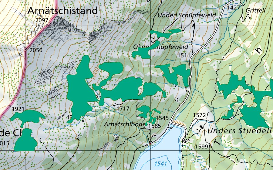 swisstopo national map showing the protected perimeter of Obers Arnätschi (Fen)