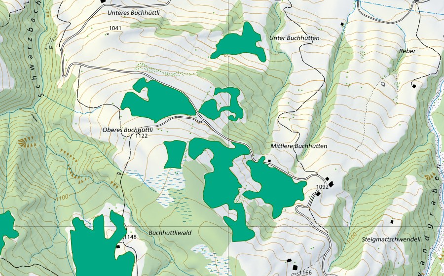 Landeskarte swisstopo mit dem Schutzperimeter von Obers Buhüttli (Flachmoor)
