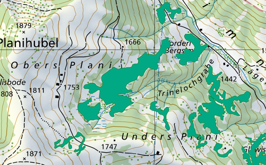 Carte nationale swisstopo avec le périmètre protégé de Obers-Plani (Bas-marais)