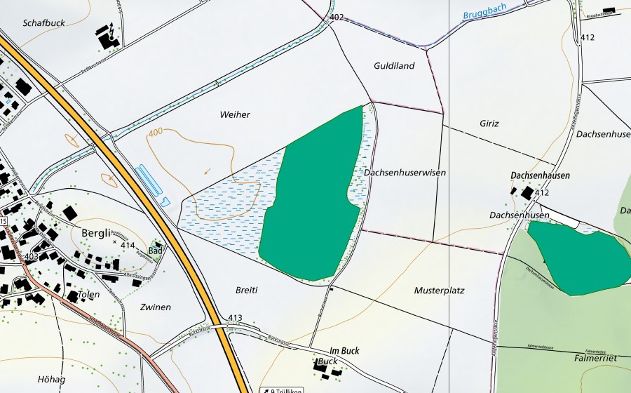 Landeskarte swisstopo mit dem Schutzperimeter von Oerlinger Riet (Flachmoor)