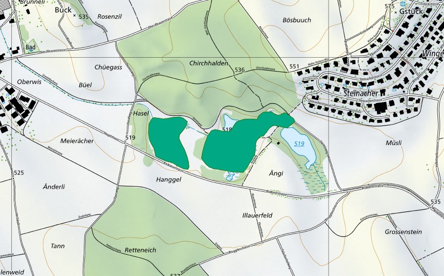 swisstopo national map showing the protected perimeter of Örmis (Fen)
