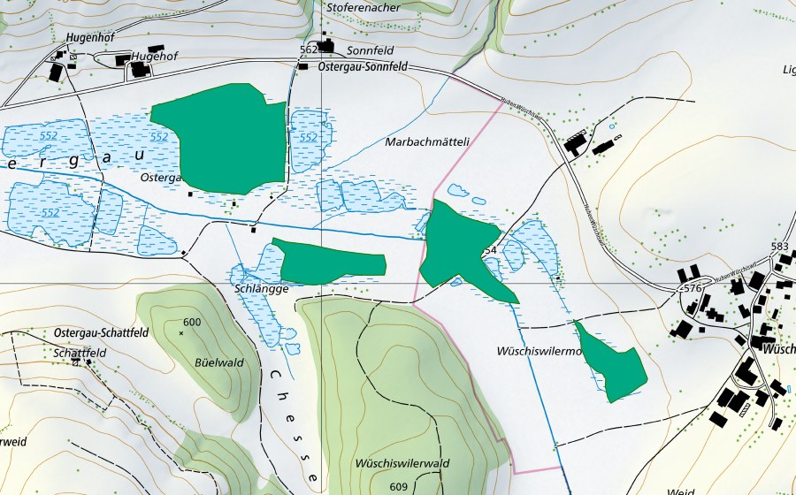 Landeskarte swisstopo mit dem Schutzperimeter von Ostergau (Flachmoor)