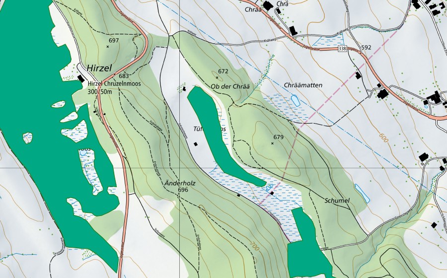 swisstopo national map showing the protected perimeter of Östlich Ändenholz (Fen)