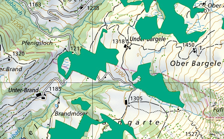 Carte nationale swisstopo avec le périmètre protégé de Östlich Brandchnubel (Bas-marais)