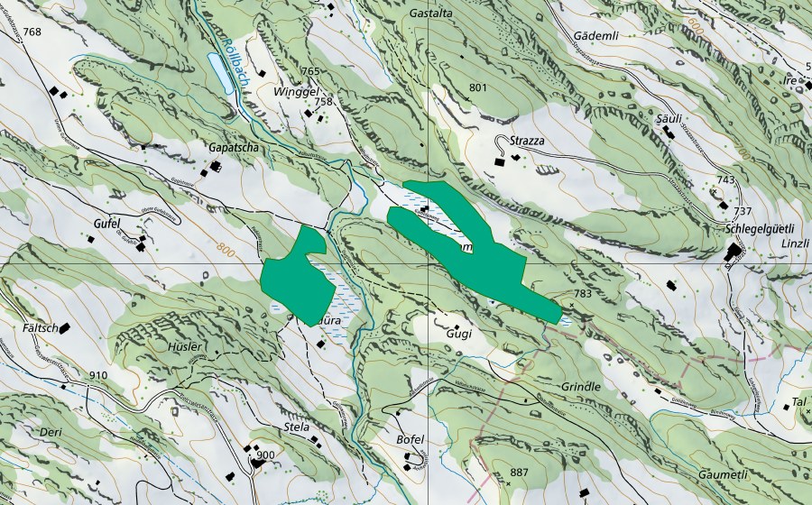 swisstopo national map showing the protected perimeter of Padüra (Fen)