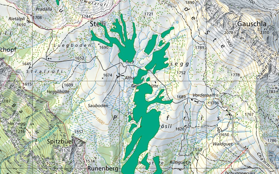 Landeskarte swisstopo mit dem Schutzperimeter von Palfris (Flachmoor)
