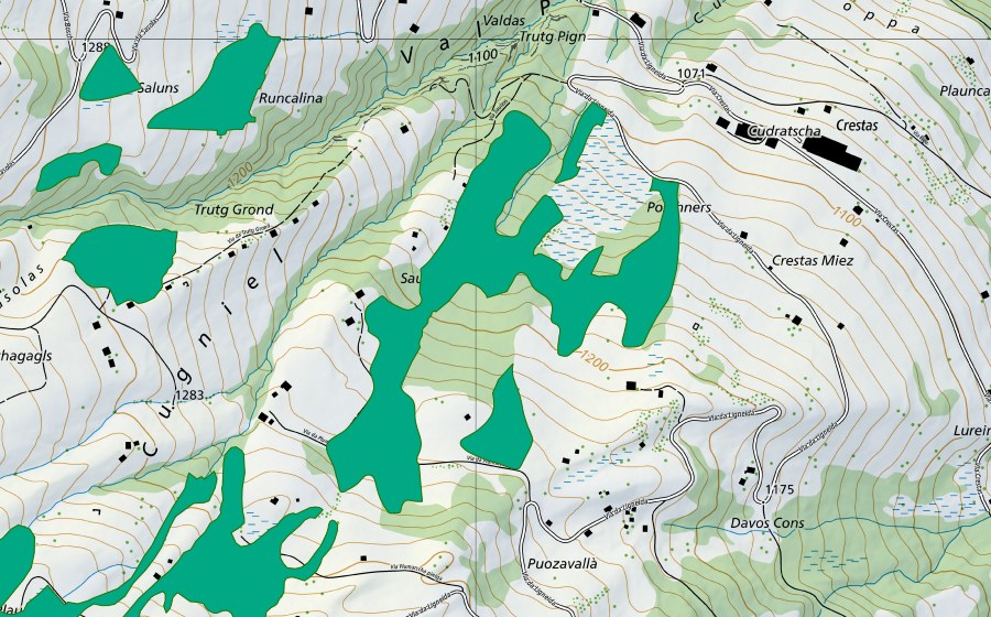 swisstopo national map showing the protected perimeter of Paliu Marscha (Fen)