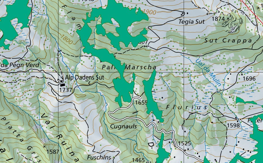 Carte nationale swisstopo avec le périmètre protégé de Paliu Marscha (Bas-marais)