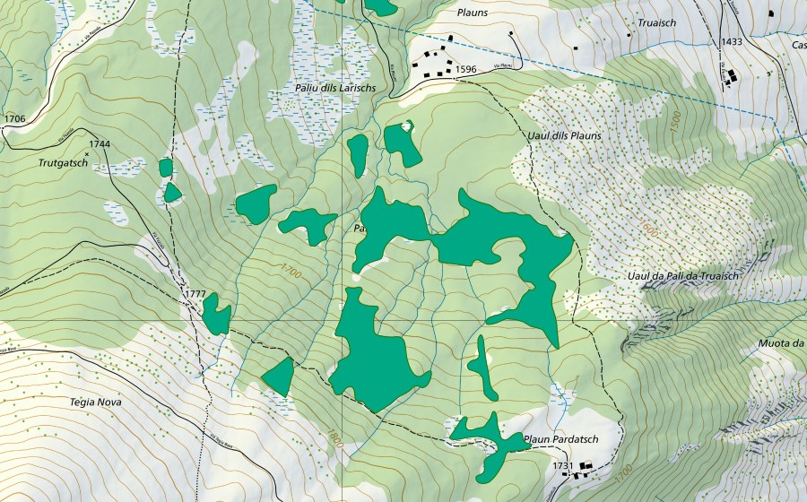 Carte nationale swisstopo avec le périmètre protégé de Palius (Bas-marais)