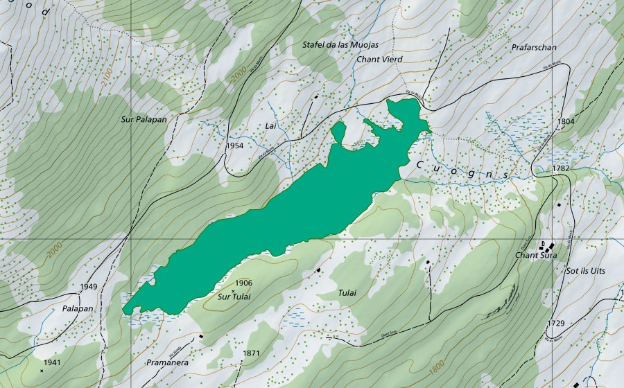 Carte nationale swisstopo avec le périmètre protégé de Palü Lunga (Bas-marais)