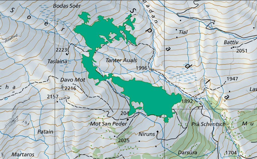 Landeskarte swisstopo mit dem Schutzperimeter von Palü Marscha (Flachmoor)