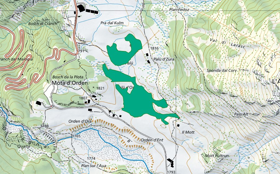 Carta nazionale swisstopo con il perimetro protetto di Palü (Torbiera bassa)