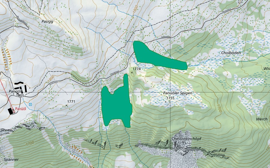 swisstopo national map showing the protected perimeter of Panüöler-Spigen (Fen)
