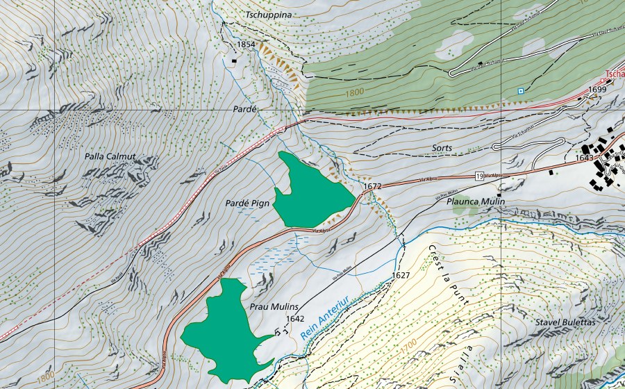 Landeskarte swisstopo mit dem Schutzperimeter von Pardé Pign (Flachmoor)